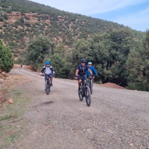 Biking day trip Atlas Mountains - Mountain Bike Tours Morocco