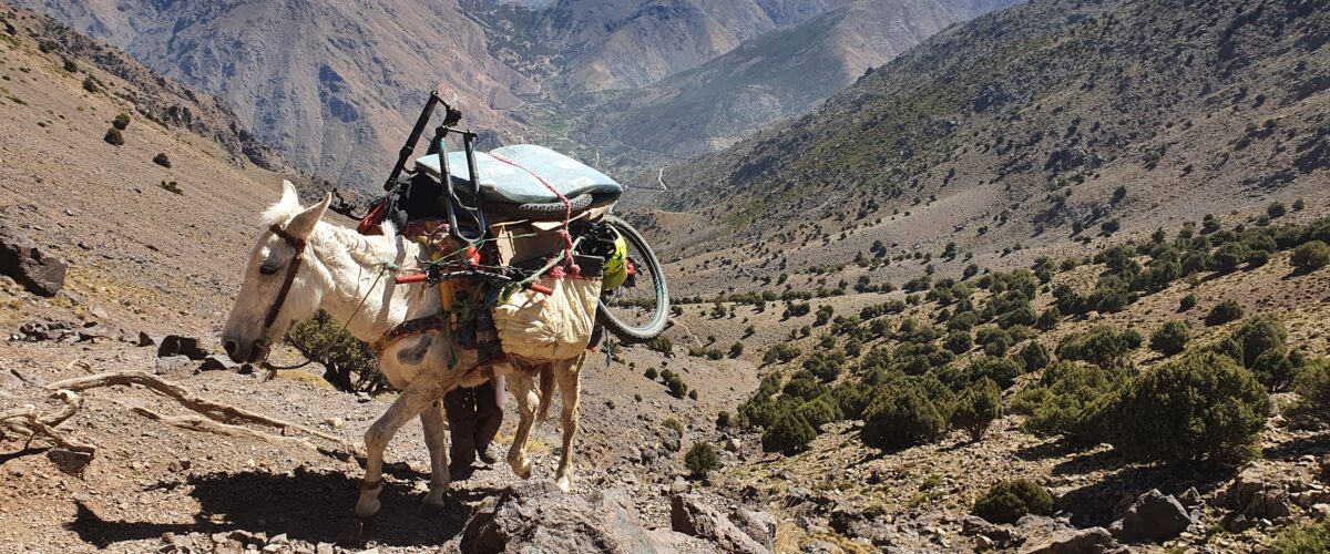 From Imlil Enduro Day Biking tour