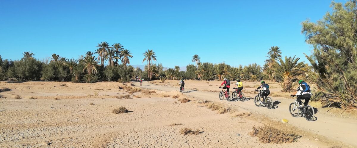 Atlas to Sahara Desert MTB tour