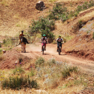 Mountain Biking Atlas Mountains
